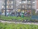 Piazza Enrico Bottini-Lambrate